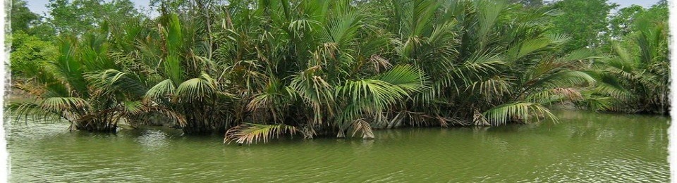 Dublar Char Island at Sundarban